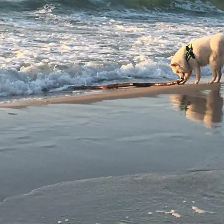 Sloneczko ホームステイ Wisełka