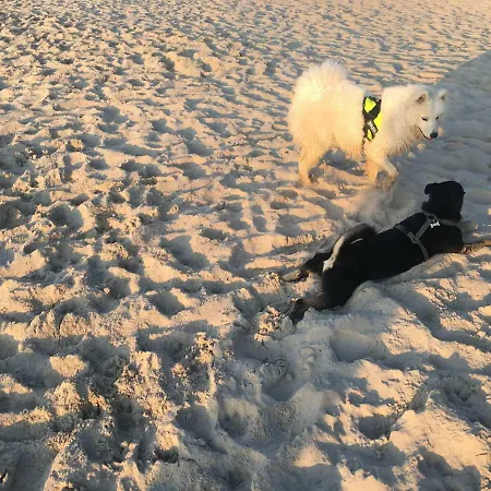 Sloneczko Quarto em Acomodações Particulares