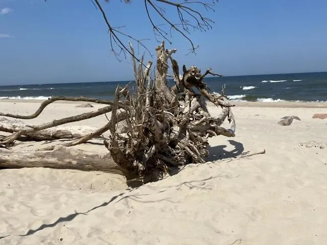 Sloneczko בית אירוח *