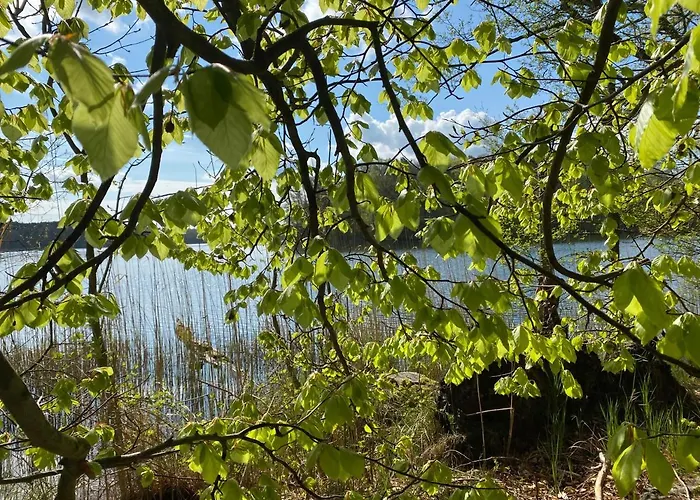 בית אירוח Sloneczko Wisełka