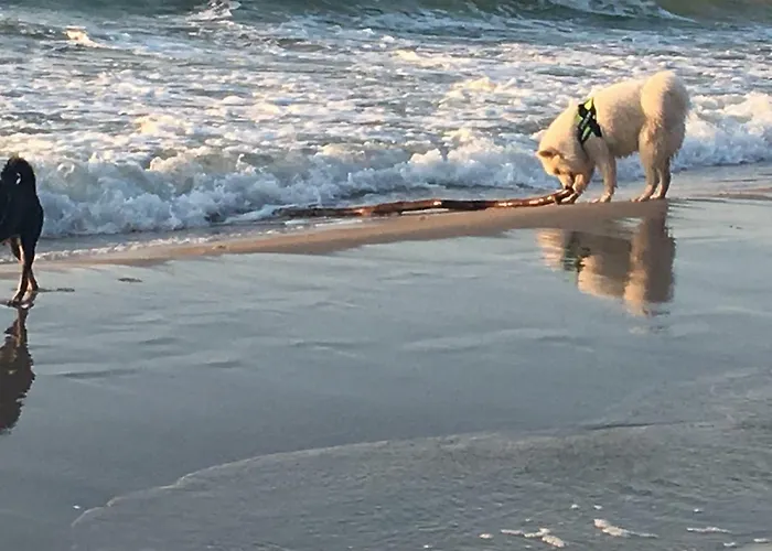 Sloneczko ホームステイ Wisełka