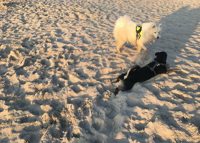 Sloneczko בית אירוח